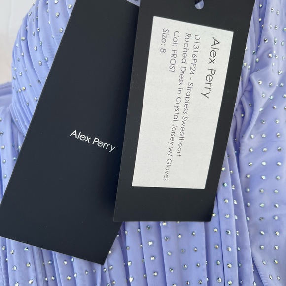 ALEX PERRY
Embellished Gloved Midi Dress (BLACK FRIDAY SALE) - Picture 7 of 9